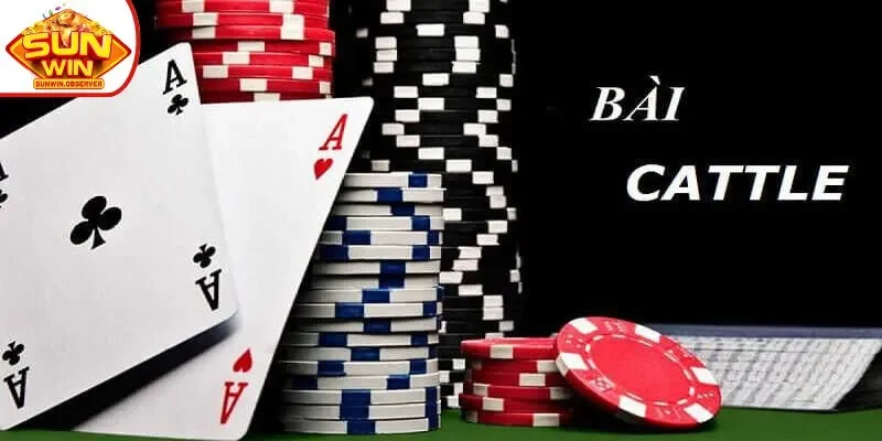 Bài catte và những thông tin về trò chơi