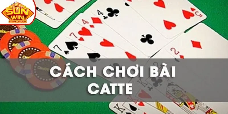 Hướng dẫn cách chơi bài catte dễ hiểu cho newbie